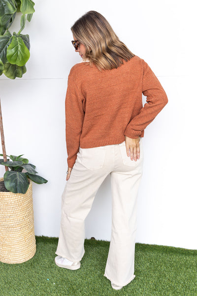 Classic Delight Cardigan - Rust Mix